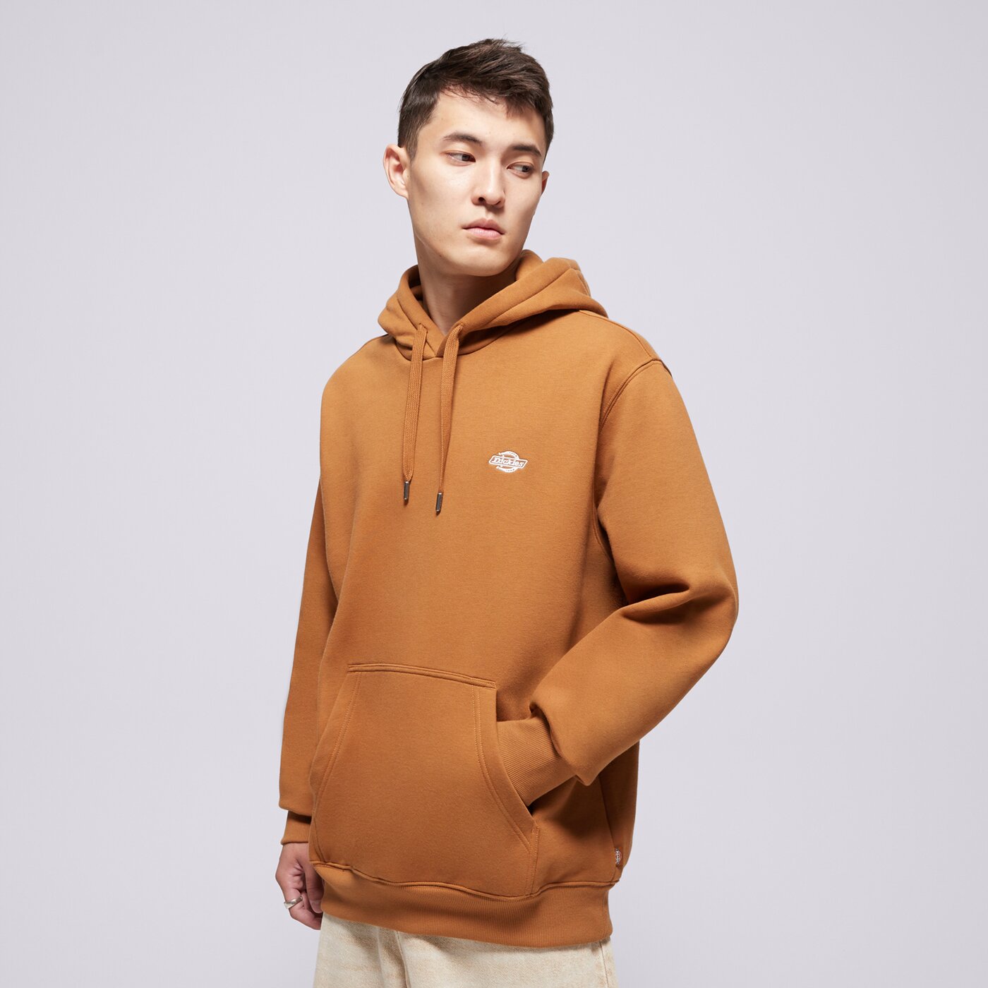 Мъжки суичър DICKIES СУИТЧЪР С КАЧУЛКА SUMMERDALE HOODIE dk0a4y6p0bd1 цвят кафяв