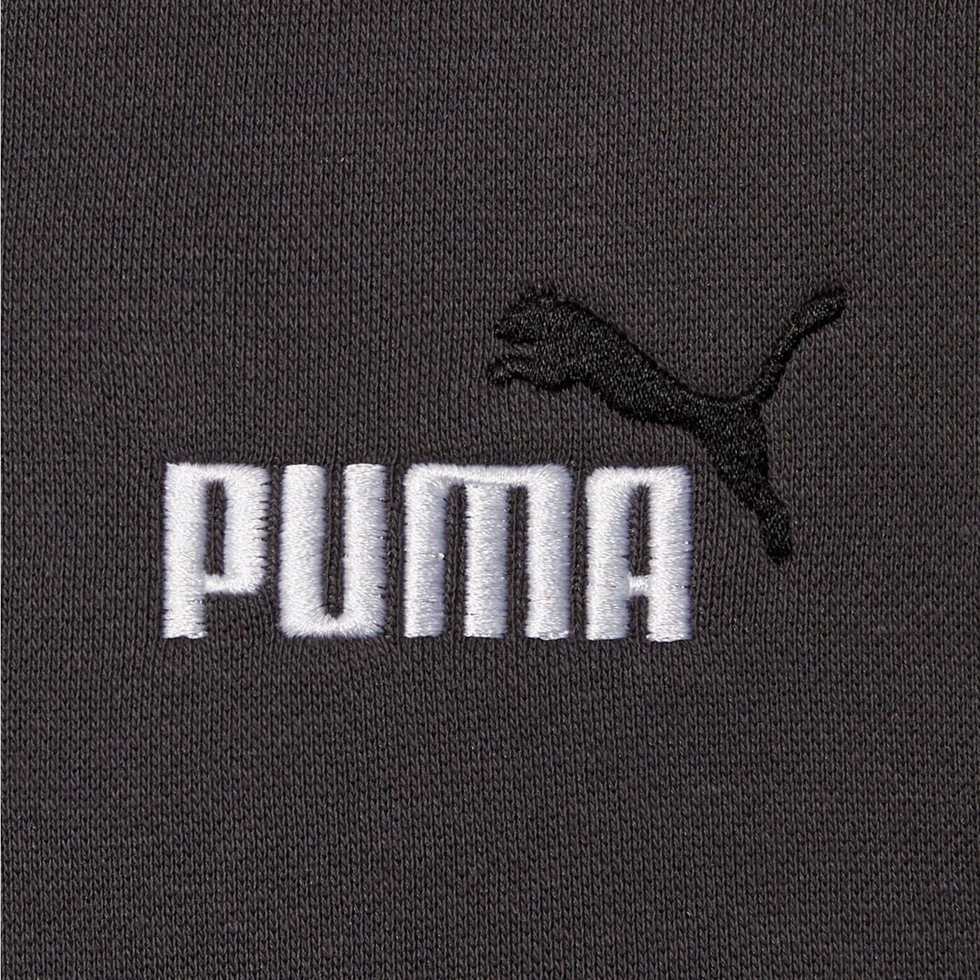 Мъжки суичър PUMA СУИТЧЪР С КАЧУЛКА ESS 2 COLOR SMALL NO. 1 LOGO HOODIE F 684718 44 цвят сив