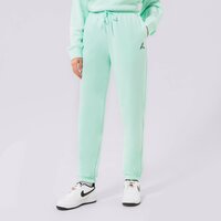 JORDAN ПАНТАЛОНИ ESSENTIAL JOGGERS