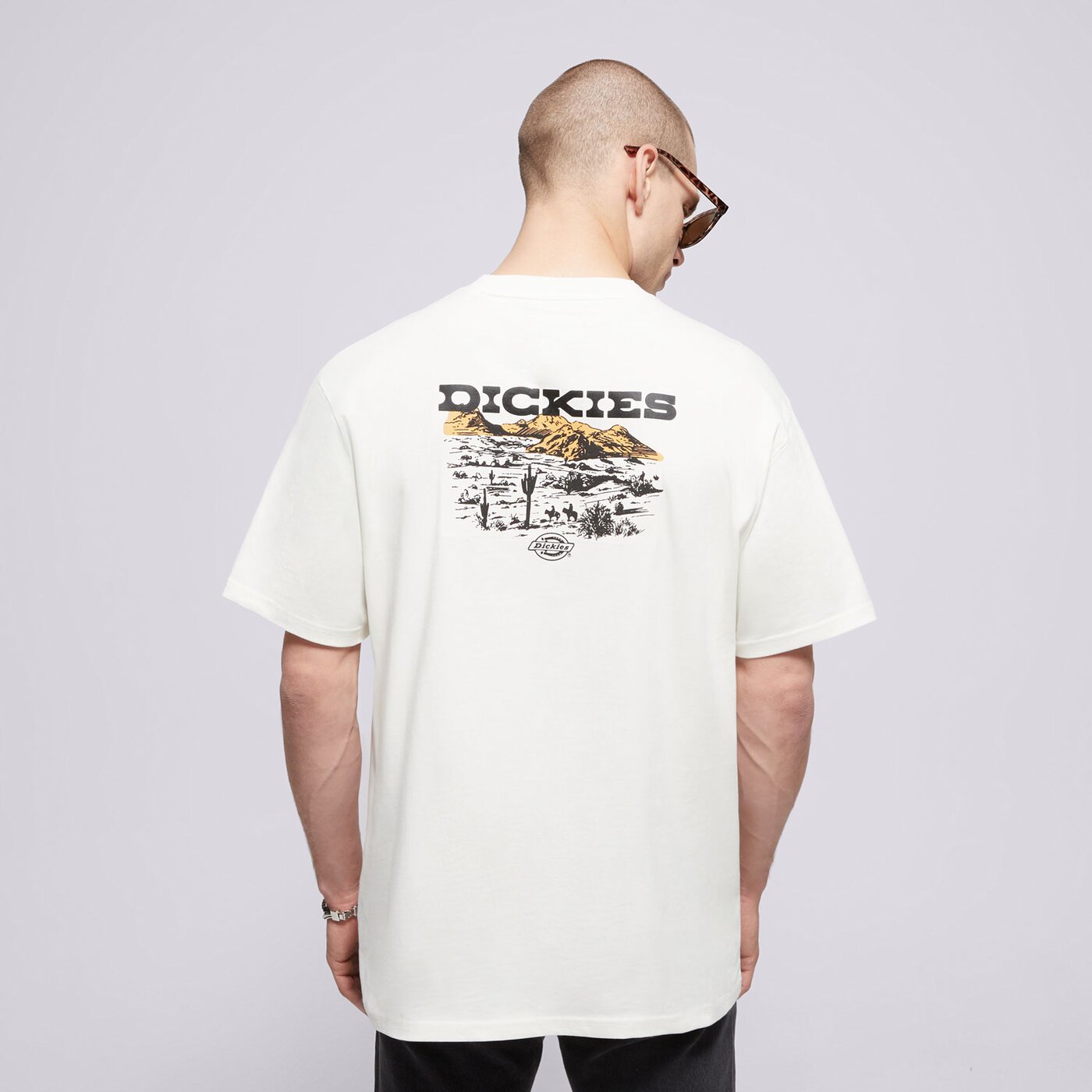 Мъжка тениска DICKIES ТЕНИСКА LANDASCAPE SS TEE dk0a4z8vc481 цвят бял