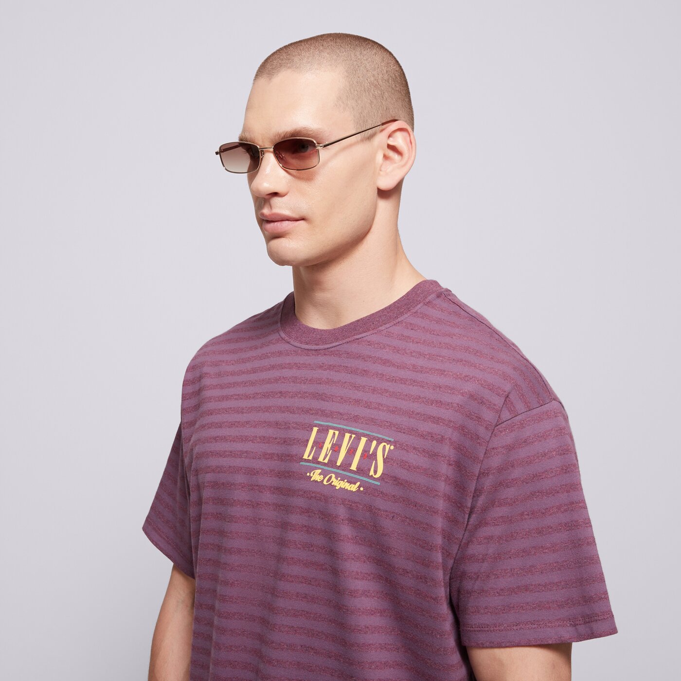 Мъжка тениска LEVI'S ТЕНИСКА VINTAGE FIT GRAPHIC TEE GREYS 87373-0345 цвят виолетов