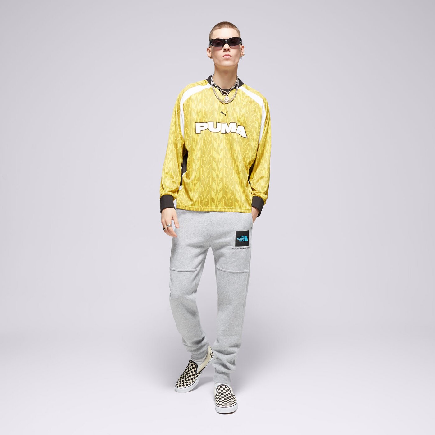 Мъжки панталони THE NORTH FACE ПАНТАЛОНИ FINE BOX PANT GYM pant2 цвят сив