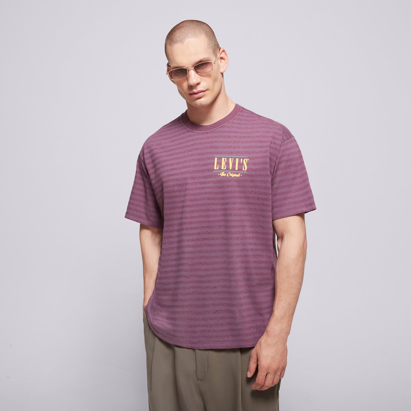 Мъжка тениска LEVI'S ТЕНИСКА VINTAGE FIT GRAPHIC TEE GREYS 87373-0345 цвят виолетов