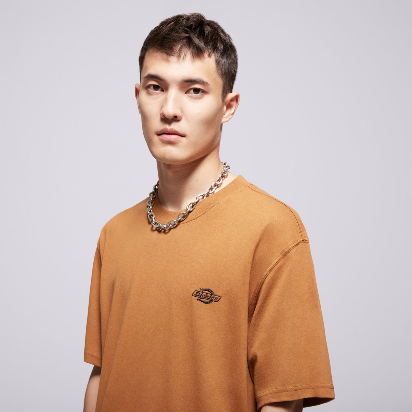 Мъжка тениска DICKIES ТЕНИСКА SUMMERDALE SS TEE dk0a4yai0bd1 цвят кафяв