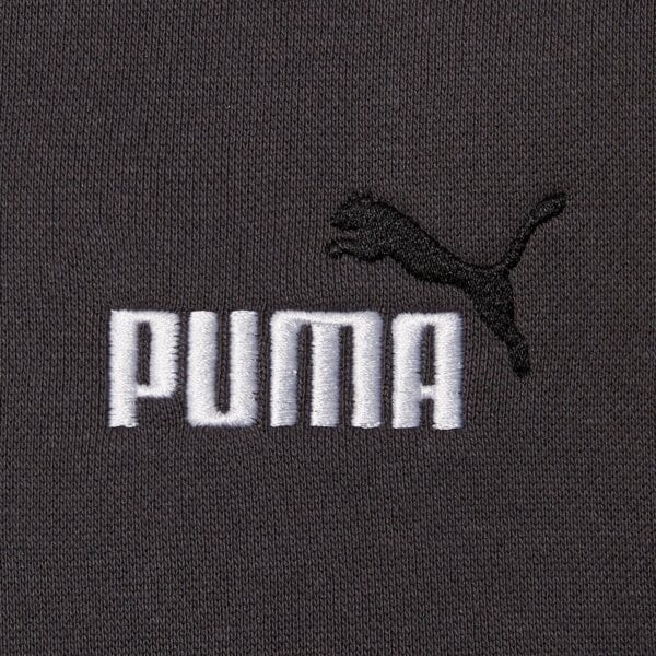 Мъжки суичър PUMA СУИТЧЪР С КАЧУЛКА ESS 2 COLOR SMALL NO. 1 LOGO HOODIE F 684718 44 цвят сив