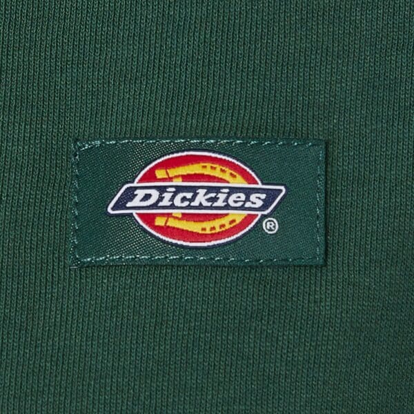 Дамска тениска DICKIES ТЕНИСКА OAKPORT BOXY SS TEE dk0a4y8lpin1 цвят зелен