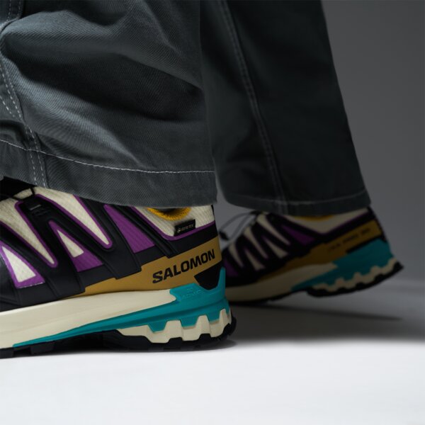 Мъжки туристически обувки SALOMON XA PRO 3D V9 GTX l47881700 цвят виолетов