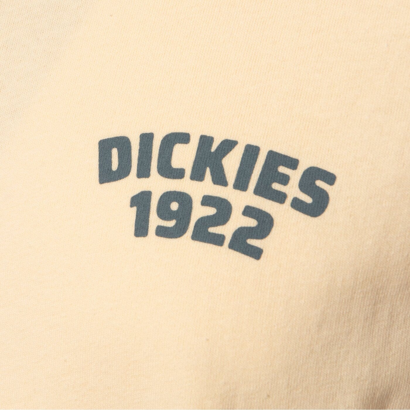 Мъжка тениска DICKIES ТЕНИСКА MECHANIC SS TEE dk0a4z96k531 цвят бежов