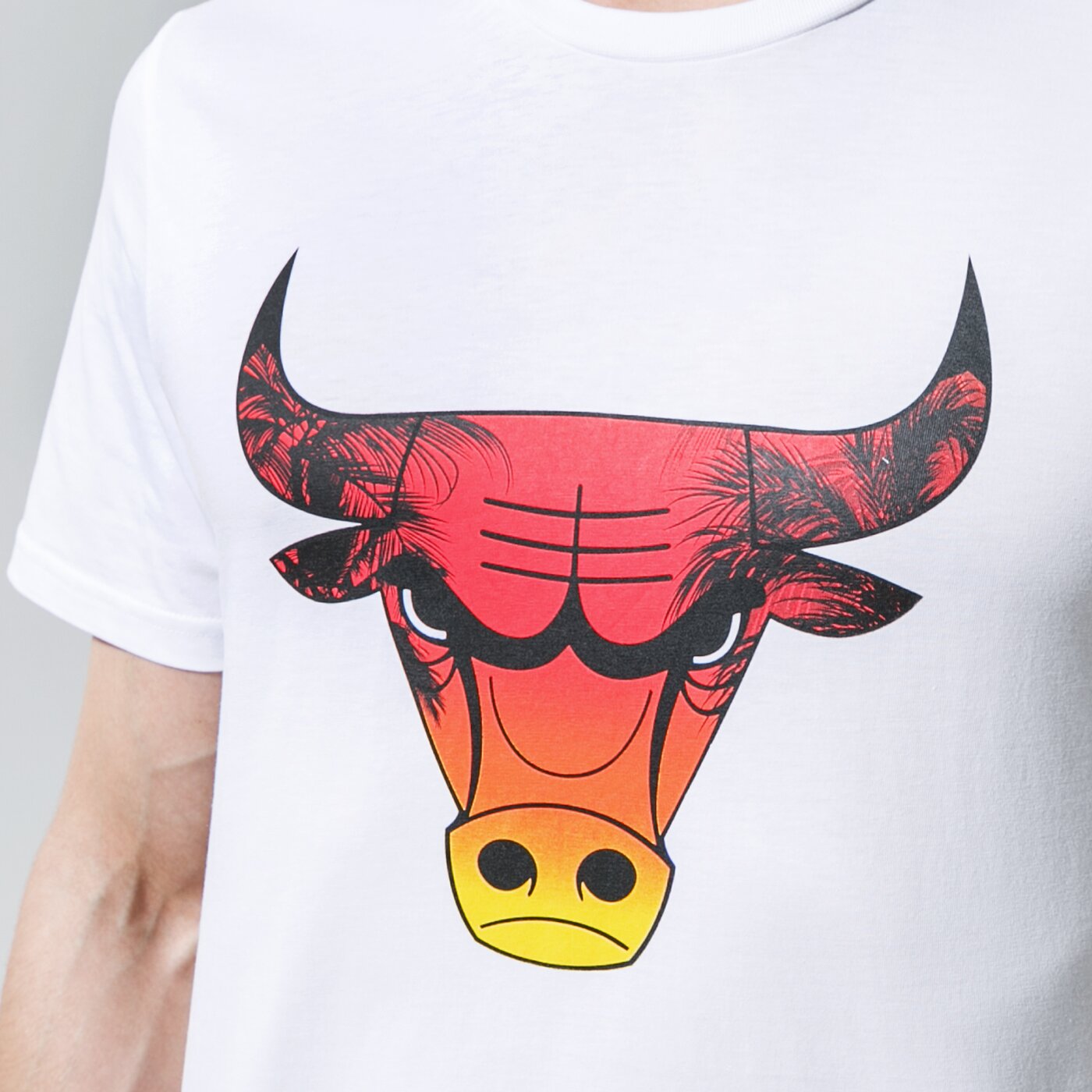 Мъжка тениска NEW ERA ТЕНИСКА SUMMER CITY INFILL BULLS 12720094 цвят бял