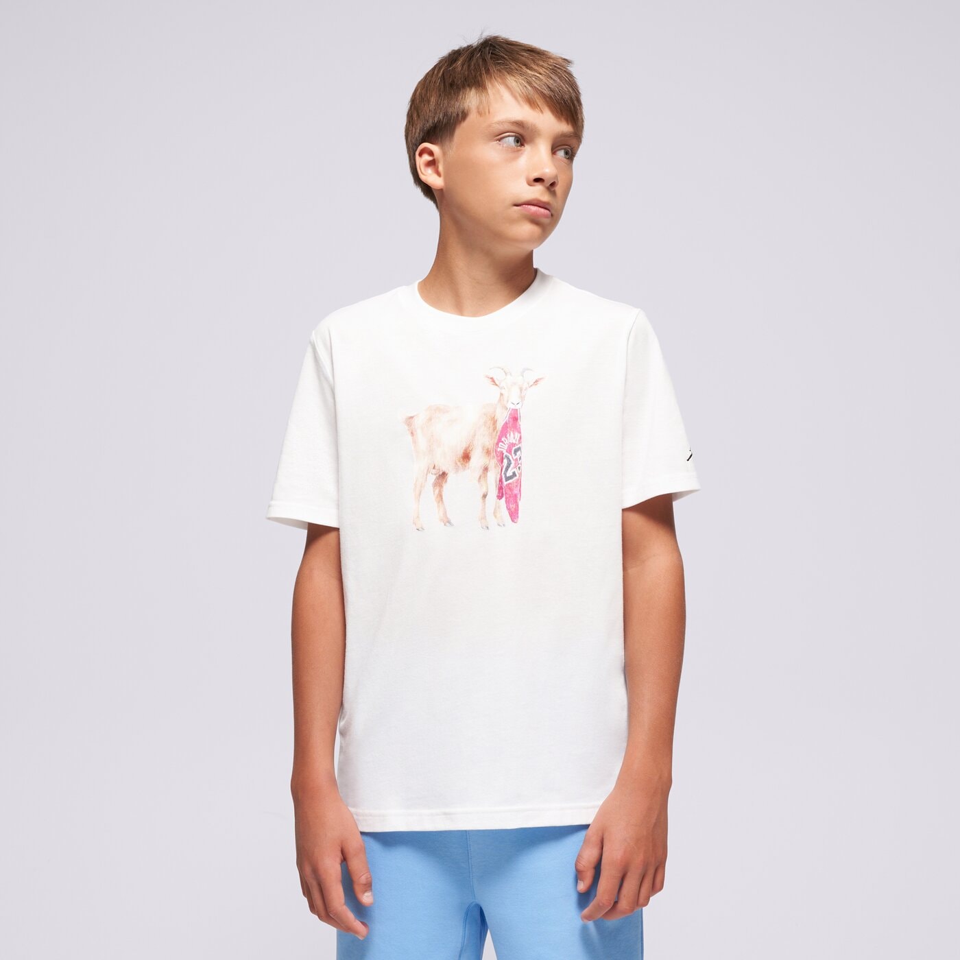 Детска тениска JORDAN ТЕНИСКА JDB MJ FLT GOAT SS CREW BOY 95f314-001 цвят бял
