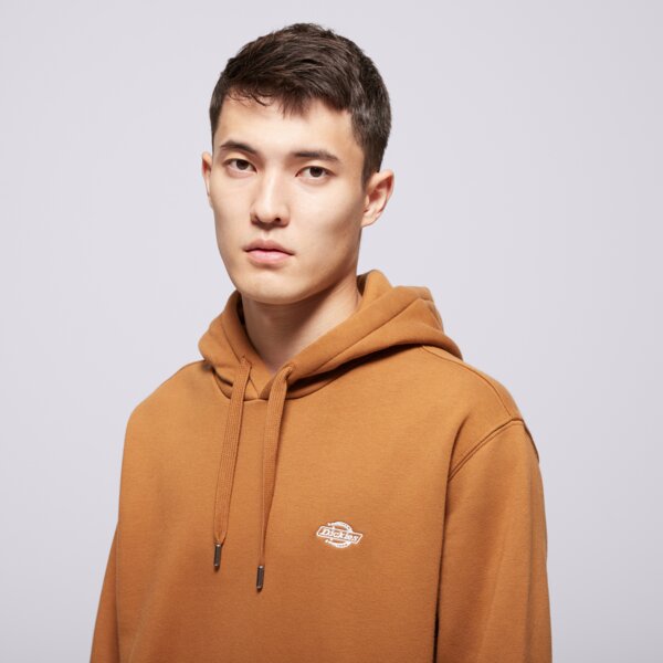 Мъжки суичър DICKIES СУИТЧЪР С КАЧУЛКА SUMMERDALE HOODIE dk0a4y6p0bd1 цвят кафяв